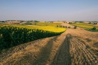 campagna marchigiana campagna marchigiana