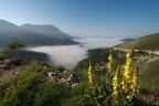 la nebbia su castelluccio