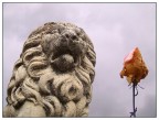 Passione e Potere Passione e Potere