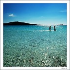 Seguivo con gli occhi il movimento