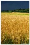 Campo e nuvole Campo e nuvole