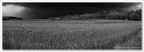 Temporale in arrivo 3... Temporale in arrivo 3...