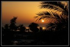 Alba Tropicale Alba Tropicale