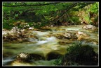 le fresche acque del torrente le fresche acque del torrente