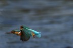 panning panning