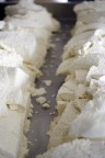 Reportage sulla Mozzarella di Bufala Campana Reportage sulla Mozzarella di Bufala Campana