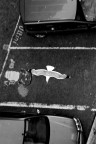 parcheggio al volo parcheggio al volo