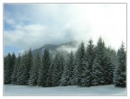 Brrrr!!! Brrrr!!!