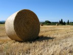 ROTOBALLE...ANCH' IO ROTOBALLE...ANCH' IO