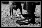 Momento di quotidianita'.... Momento di quotidianita'....