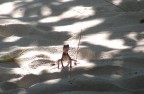è la mia spiaggia! è la mia spiaggia!