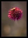 Walking on... Walking on...