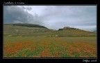 il paese il paese