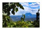 Veduta da S.Croce di Ceppaloni Veduta da S.Croce di Ceppaloni