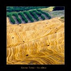 Val d'Orcia - Luglio 2008