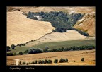 Val d'Orcia - Luglio 2008