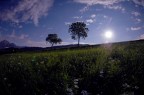 chiaro di luna 3 chiaro di luna 3