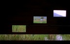 Reportage Oasi di Massaciuccoli