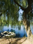 La barca e il salice La barca e il salice