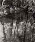 riflessi bn riflessi bn