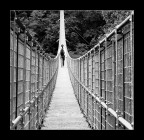 vai avanti...e non voltarti indietro