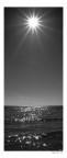 La stella del mare La stella del mare