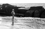 summer on a solitary beach summer on a solitary beach