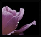 Tra colore e non colore  ....