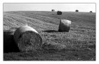 balle in b/w
