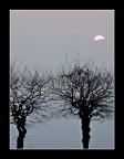 Non andare via Non andare via