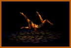 Equilibrio d'Amore Equilibrio d'Amore