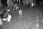 Fate la Carità Fate la Carità