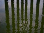 riflesso riflesso
