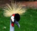 Dipinta dalla natura Dipinta dalla natura