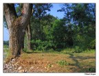 Un angolo di verde Un angolo di verde