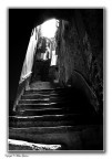 Luce Luce