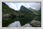 preparazione per le olimpiadi "ITTICHE ALPINE!! preparazione per le olimpiadi "ITTICHE ALPINE!!