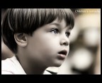 children's curiosity children's curiosity
