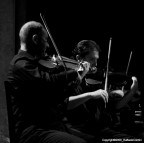 Violinisti In Concerto Violinisti In Concerto