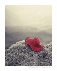 red hat red hat