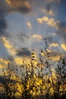 Tramonto dorato Tramonto dorato