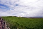 Green Ireland