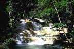 Dunn's River Falls Dunn's River Falls