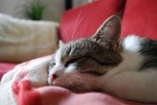 dormire 2 dormire 2
