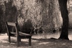 Aspettando Aspettando