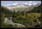 Naturalmente Bella Naturalmente Bella