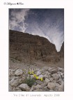 Tre Cime di Lavaredo Tre Cime di Lavaredo