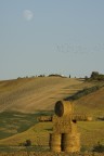 Il lavoro dell'uomo e la natura Il lavoro dell'uomo e la natura