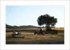 Lavori di campagna Lavori di campagna