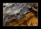 acqua acqua
